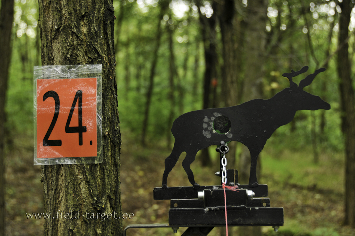 Põder tabamisalaga 25 mm 32 m kaugusel